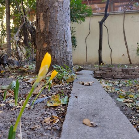 Charming Central Home With Garden Near Parking And Ndk София Екстериор снимка