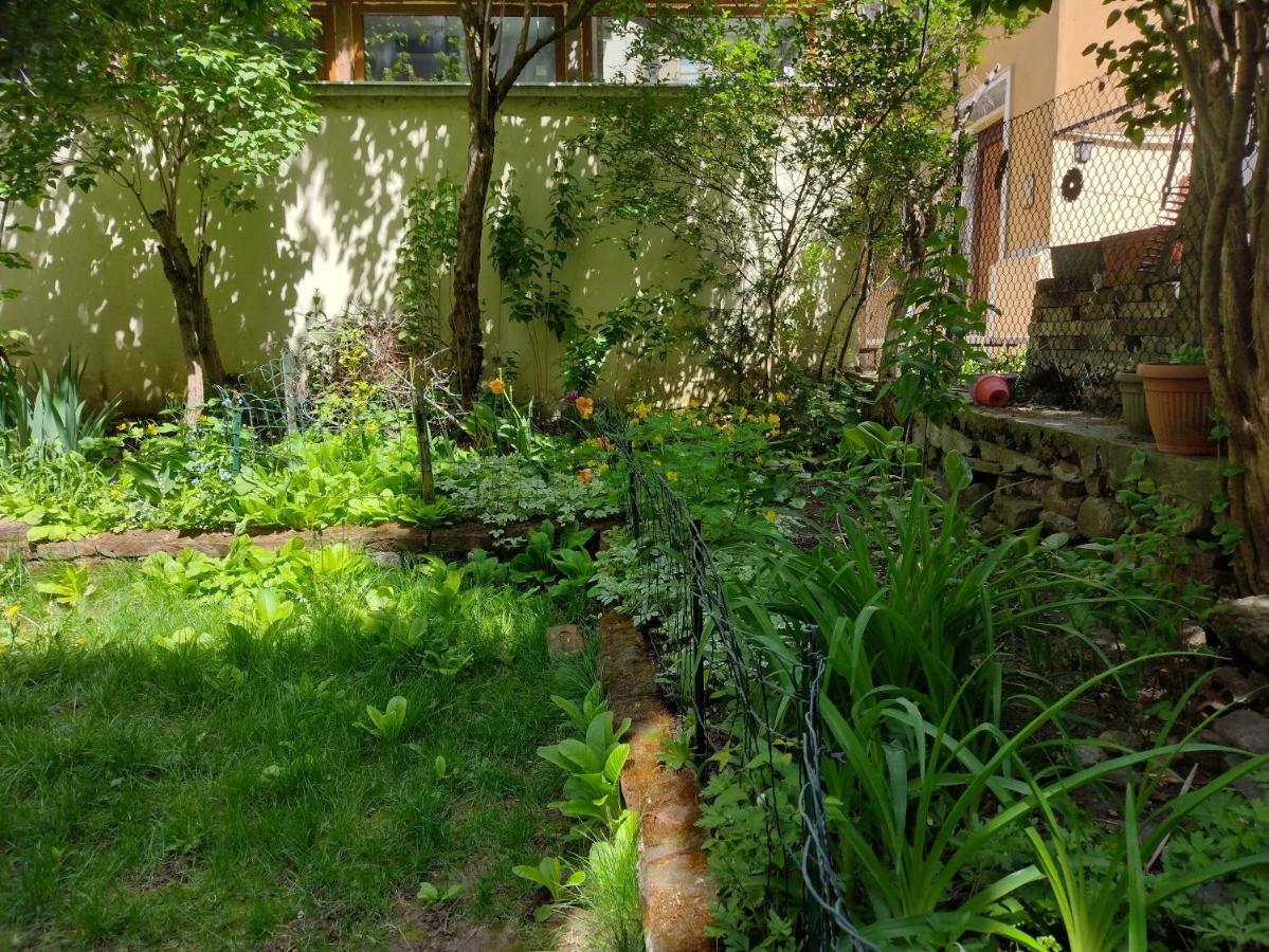 Charming Central Home With Garden Near Parking And Ndk София Екстериор снимка