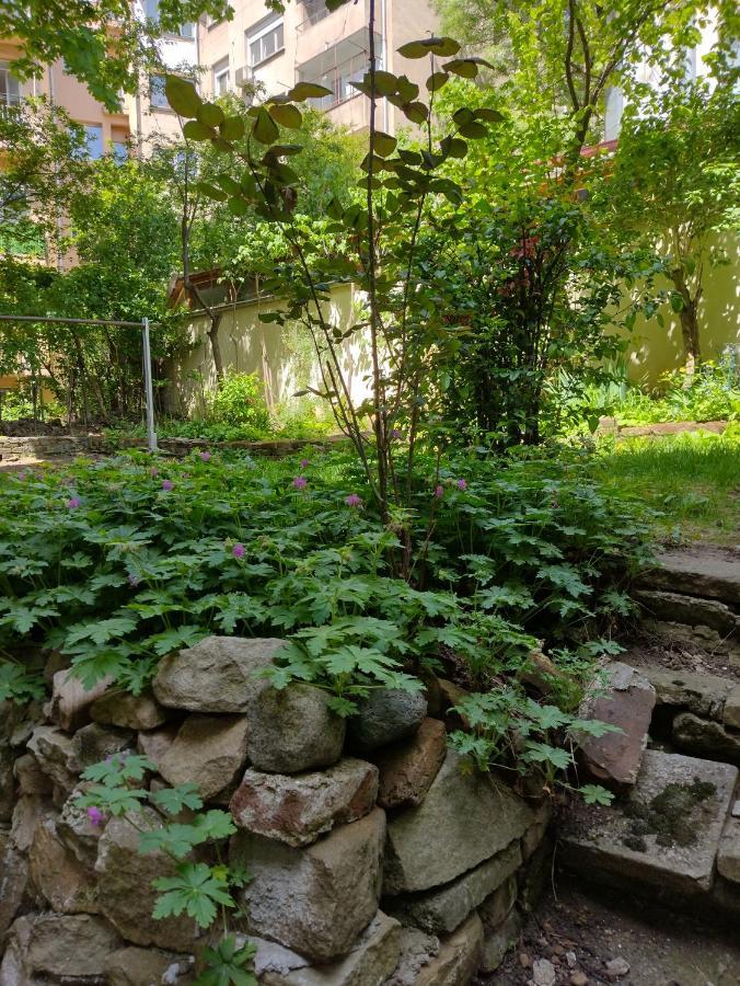 Charming Central Home With Garden Near Parking And Ndk София Екстериор снимка