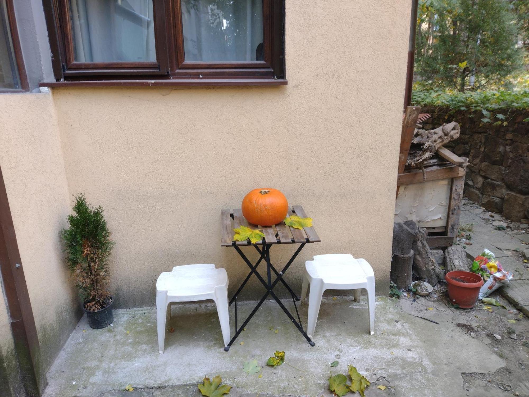 Charming Central Home With Garden Near Parking And Ndk София Екстериор снимка